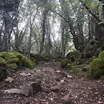 La Casita De La Senora Maria * Ponferrada