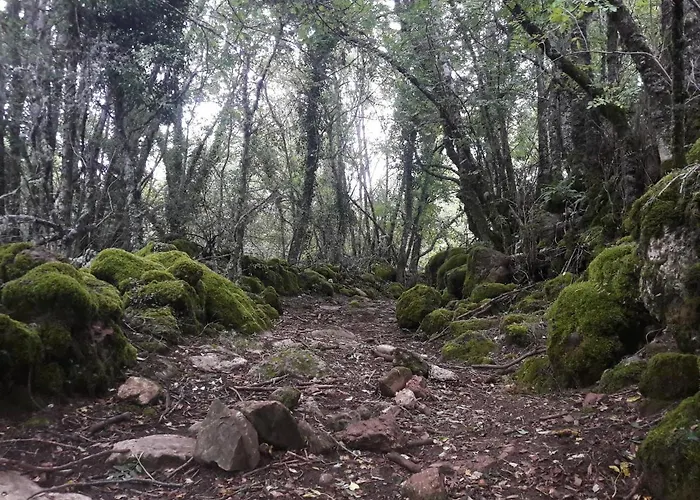 La Casita De La Senora Maria * 폰페라다