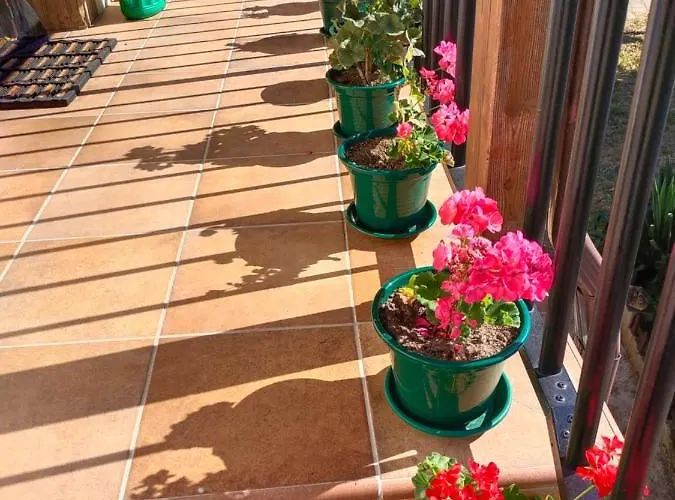 La Casita De La Senora Maria Landhuis